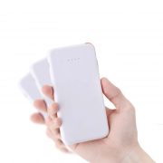 batterie-de-secours-4000-mah-twees-1